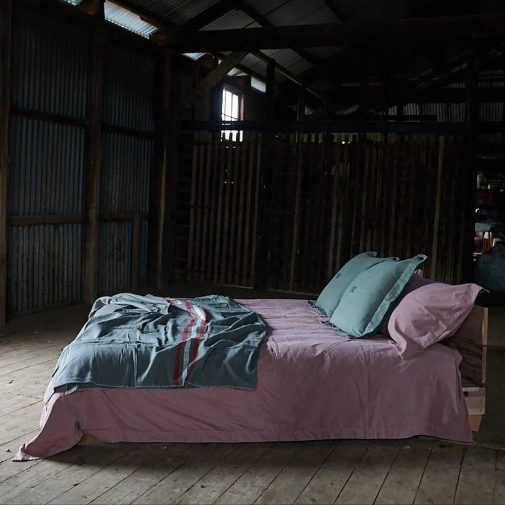 Nwt Pony Rider | Scout Blanket